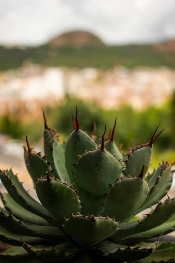 Hotel Alika Zacatecas Exterior photo